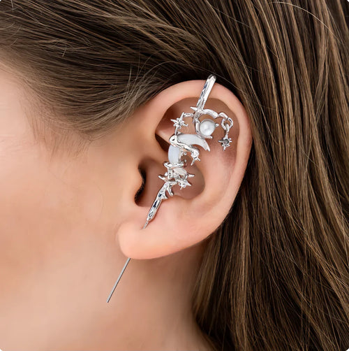 Glam Silver Earrings